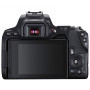 Фотоаппарат Canon EOS 250D Kit 18-55 III                                                                                                                                                                                                                  