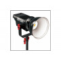 Студийный свет Aputure Light Storm LS C120d (V-mount) KIT                                                                                                                                                                                                 