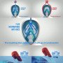 Easybreath Маска для снорклинга white/blue                                                                                                                                                                                                                