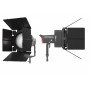 Шторки Aputure Barn Door F10                                                                                                                                                                                                                              