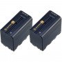 Аккумулятор SC 2NP-F970/B (2шт B комплекте) High quality                                                                                                                                                                                                  